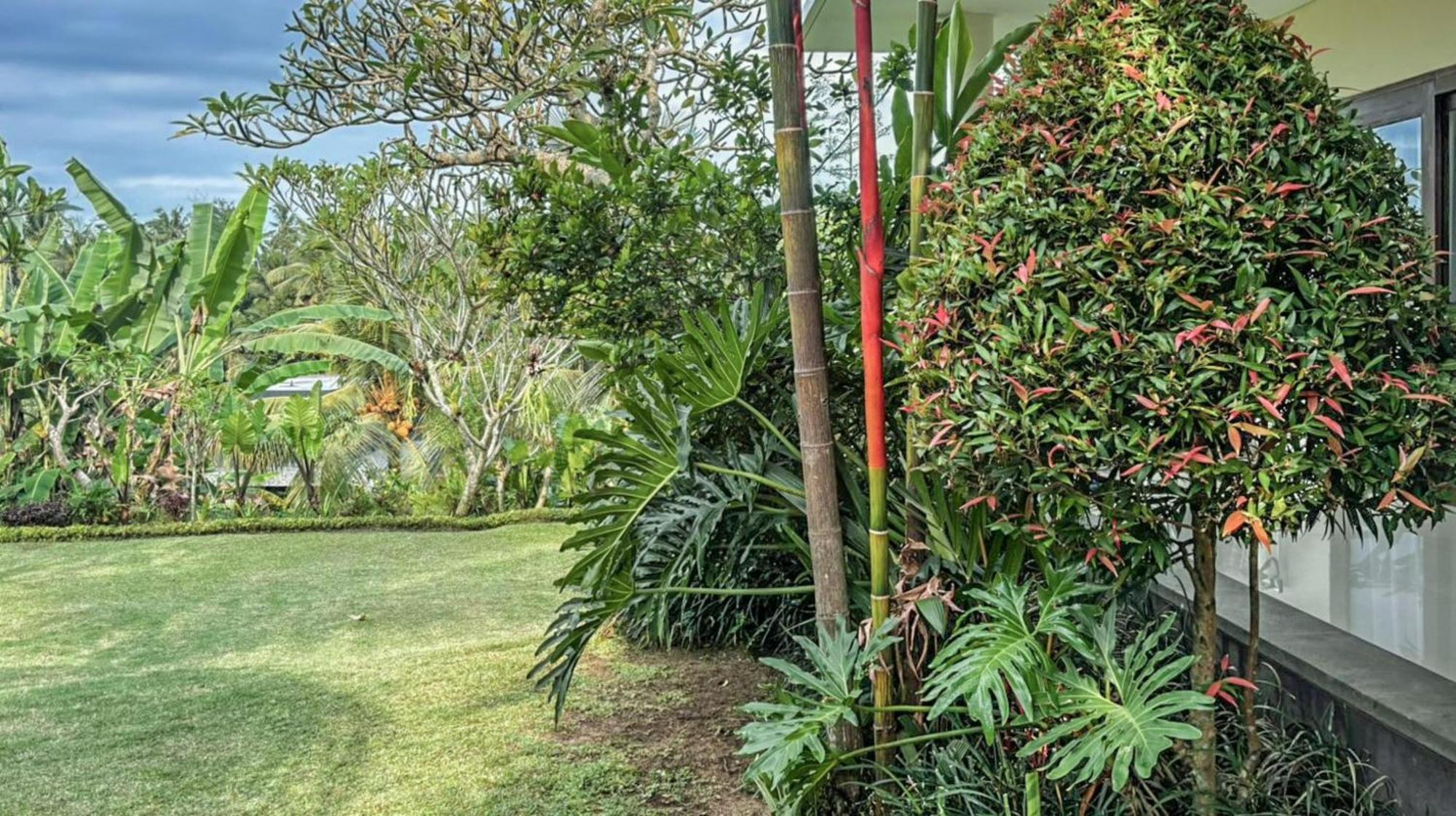 Dlobong Suite Ubud Exterior foto